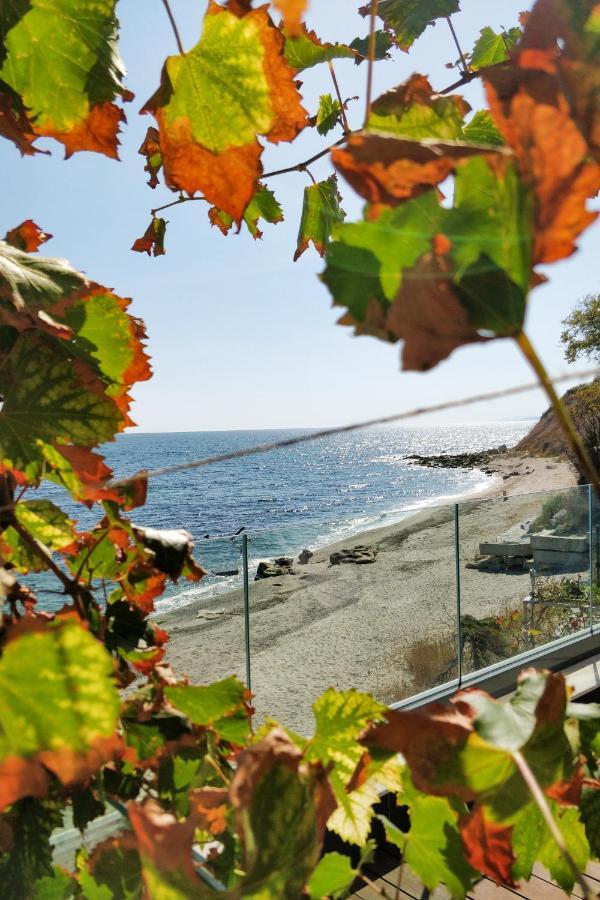 Beach Villa Varna - Cosiness 4 Meters From The Sea Екстериор снимка
